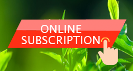 online subscription